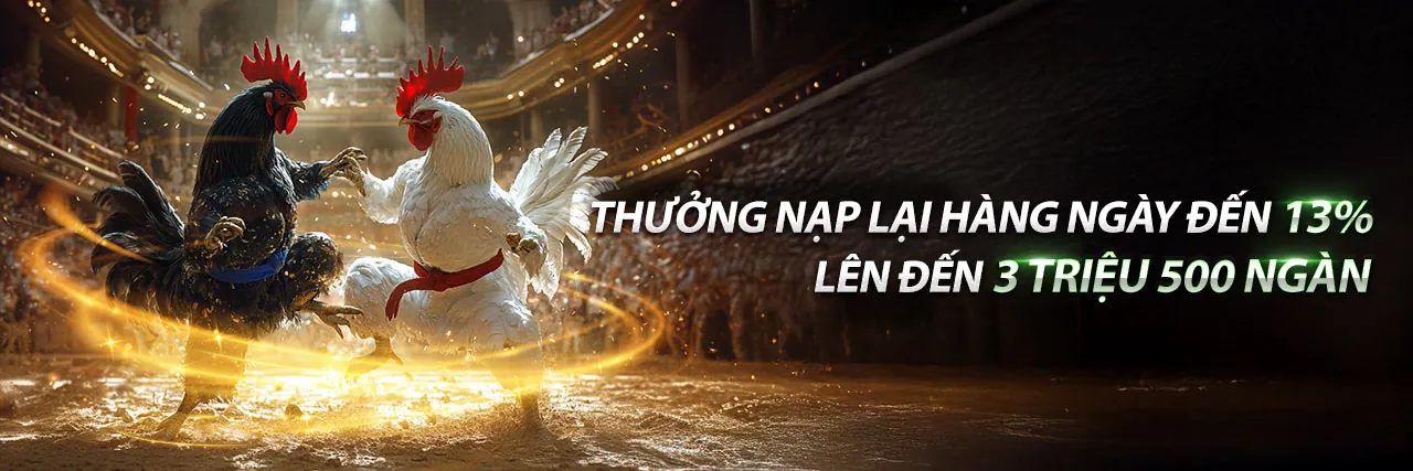 Hình ảnh tổng quan về vz999 chính thức, thể hiện sự chuyên nghiệp và uy tín